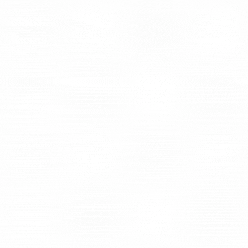 CORPORATE AND MEDICAL ASSISTANCE ELET SC